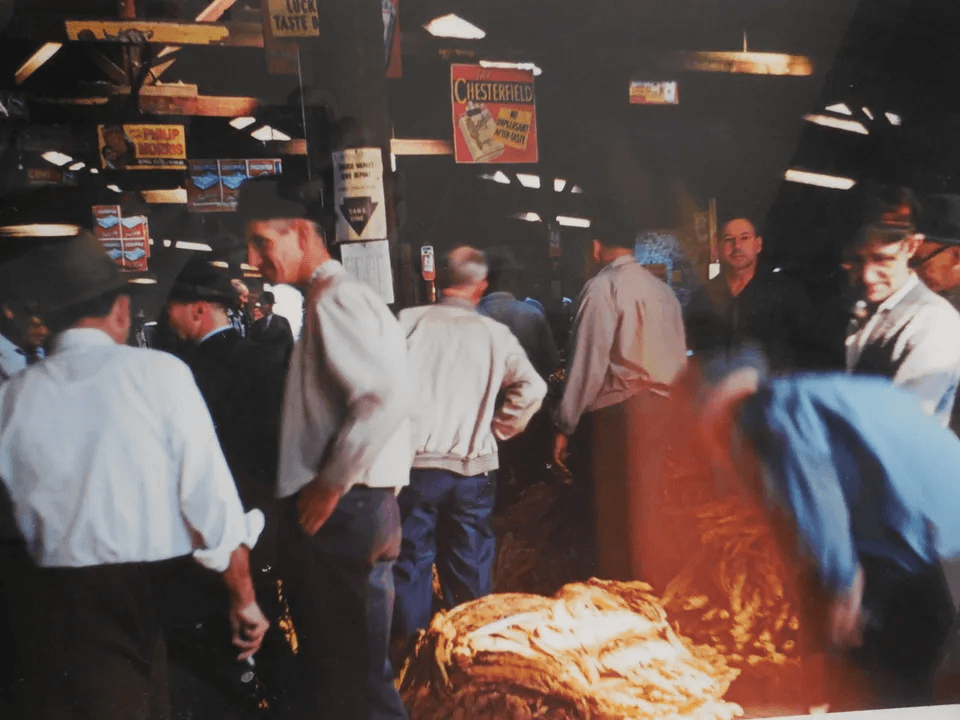 Tobacco auction near Kinston